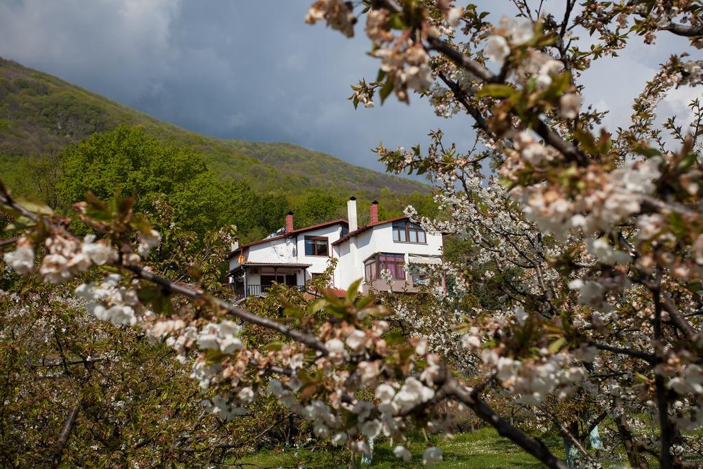 Militsa Guesthouse Náusza Imathíasz Kültér fotó
