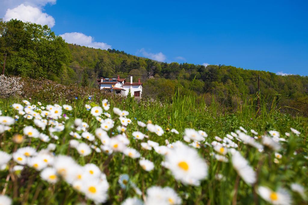 Militsa Guesthouse Náusza Imathíasz Kültér fotó