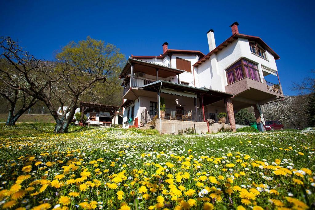 Militsa Guesthouse Náusza Imathíasz Kültér fotó