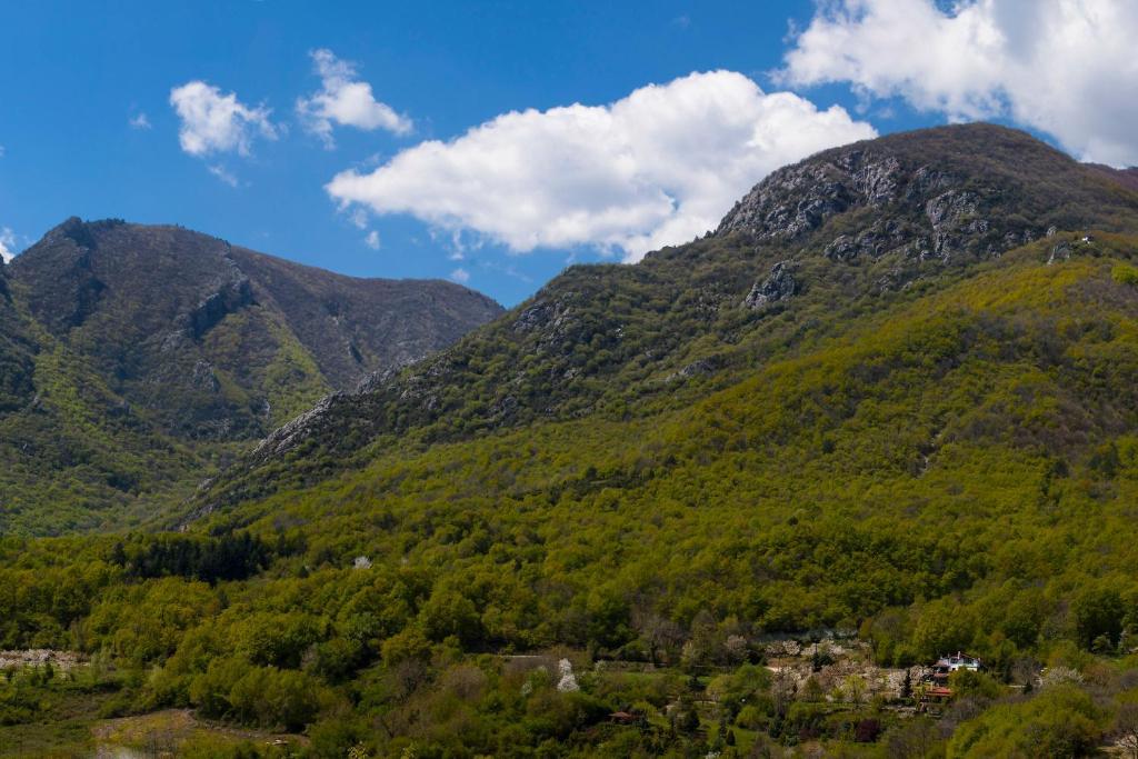 Militsa Guesthouse Náusza Imathíasz Kültér fotó