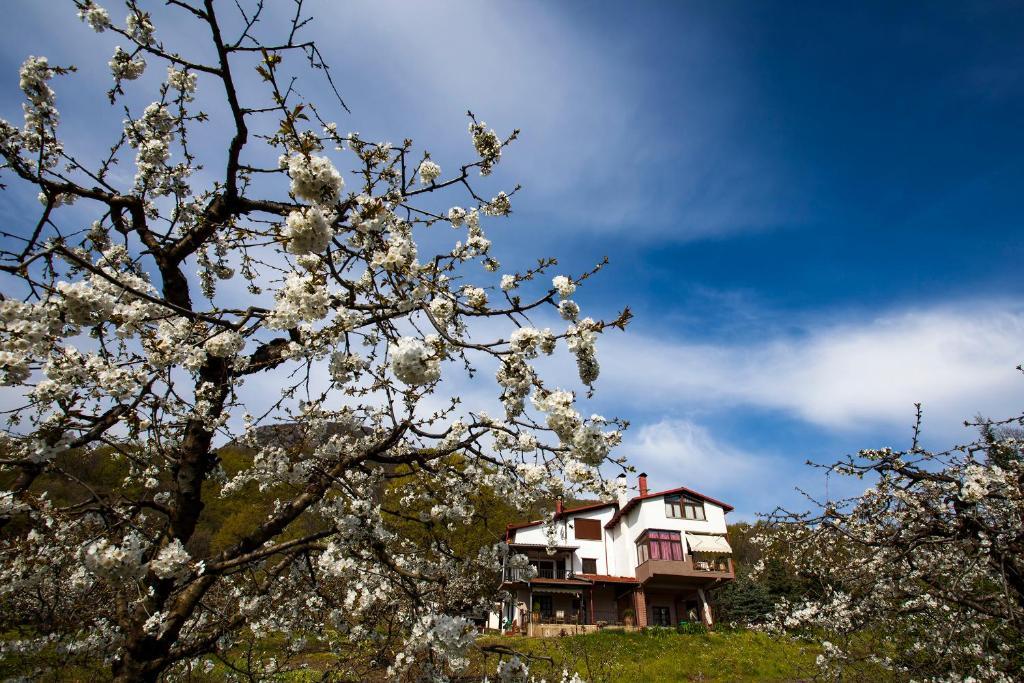 Militsa Guesthouse Náusza Imathíasz Kültér fotó